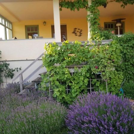 Ferienhaus Schiller ヴァーレン エクステリア 写真