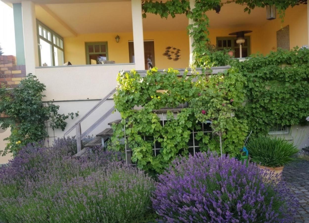 Ferienhaus Schiller ヴァーレン エクステリア 写真