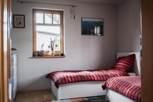 Ferienhaus Schiller ヴァーレン エクステリア 写真